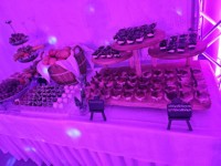 Catering 20231202 171753